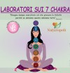 Seminari sui 7 Chakra